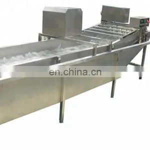 Automatic High Pressure Washer/commercial Fruit Vegetable Washer/leafy Vegetable Washing Machine Prices thumbnail-1
