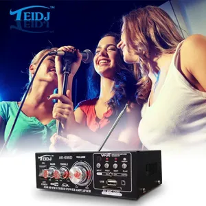 Factory Direct Supply Mini Car USD/SD/FM Power Amplifier Ak-698d Amplifier thumbnail-2