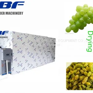 Hot Air Energy Type Grapes Fruit and Vegetable Dryer Machine thumbnail-1