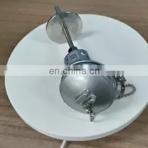 WZP-231 RTD PT100 Sensor thumbnail-1