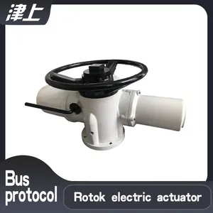 Ordinary Electric Actuator IQC40 Solar Control thumbnail-1