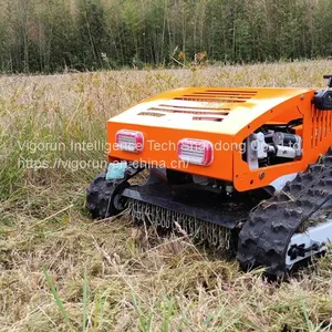 Hybrid All Terrain Cutting Height 1-18 cm Adjustable Grass Cutter Remote  Control - GoldSupplier