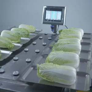 Manual 12 Heads 14 Heads Weighing Scale for Banana Apple Mango Fruit thumbnail-2