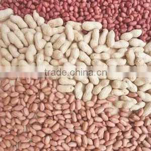 Blanched Peanut thumbnail-1