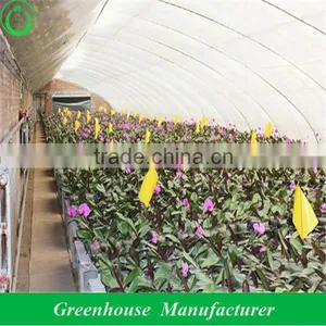 China Solar Brick Film Greenhouse thumbnail-1