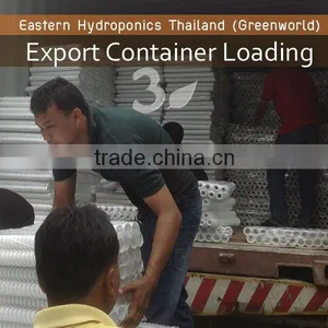 Grow Pot Export thumbnail-1