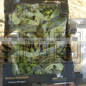 Fresh Flame Grape thumbnail-4