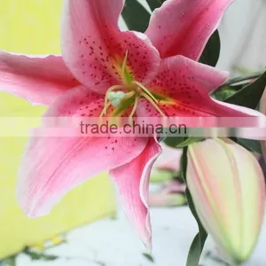 Fragrant Aroma Classical Flowers Liliess for Wedding Decoration thumbnail-4