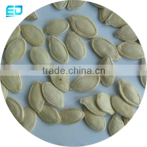 Shine Skin Pumpkin Seeds (ladynail)seed Pumpkin thumbnail-2