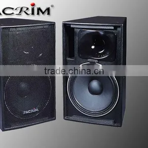 Professional Audio P-12 thumbnail-1
