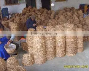 Duan New Garden Handicrafts Factory company overview - view 3 thumbnail