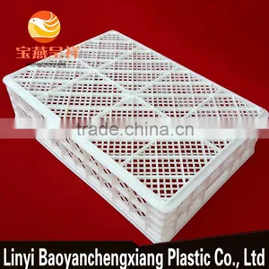605x420x150mm Plastic Crate for Duckling Baby Chick and Food Freeze and Transportation thumbnail-5