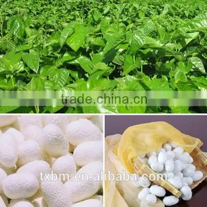 Factory Supply Customize China Handmake 100% Long Mulberry Silk Filling Quilt thumbnail-5