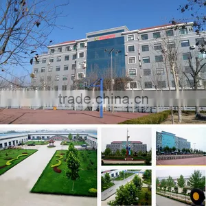 Jinan Fuman International Trade Co., Limited company overview - view 3 thumbnail