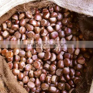 Supply Dried Chestnut With Good Quality for Sale thumbnail-1
