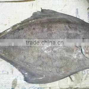 Frozen Black Pomfret thumbnail-1