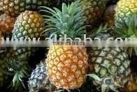 Fresh Pineapple DALL0000065 thumbnail-1
