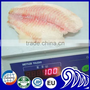 Bulk Tilapia Fillet With High Quality thumbnail-1