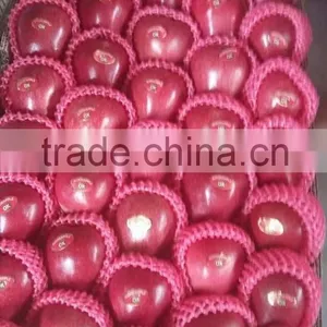 2016 Red Delicious Huaniu Apple thumbnail-5
