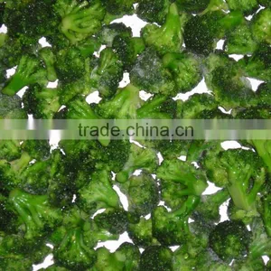 IQF Healthy Vegetable Products Frozen Vegetables Pinguin Broccoli in Hot Sales thumbnail-1