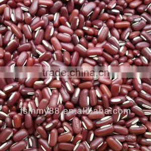 Adsuki Bean thumbnail-1