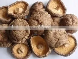 Detan Hot Dried Shiitake Mushrooms thumbnail-4