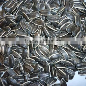 New Crop Sunflower Seeds 5009, 5135, 22/64, 24/64 thumbnail-1