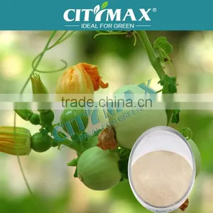 Offer The Best Price Of Amino Acid Powder thumbnail-1