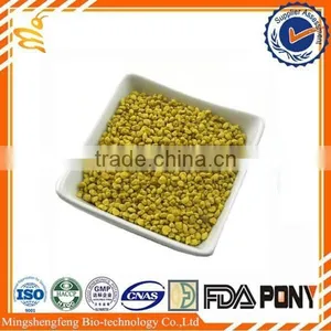 Bee Pollen Extract for Medicine and Health Food Ingredients thumbnail-1