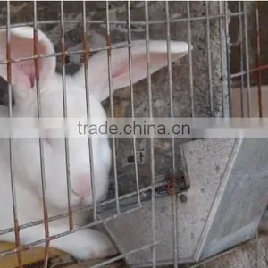 Indoor Rabbit Hutch thumbnail-4