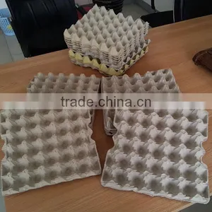 Biodegradable Protective Custom Egg Tray thumbnail-1