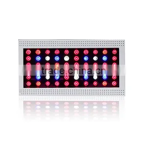 Best Price of High Intesity High Lumens Output 300w Led Grow Light for Plants Grow thumbnail-2