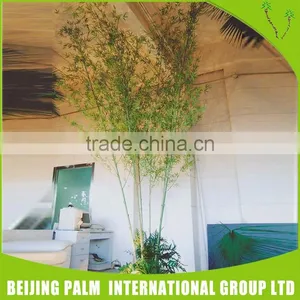 Available Decorative Trees Artificial Bonsai Artificial Tree thumbnail-6