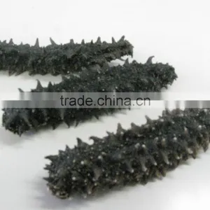 Dried Sea Cucumber From Hokkaido Japan thumbnail-1