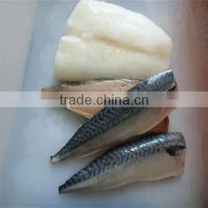 Frozen Sea Fish Suppliers thumbnail-1
