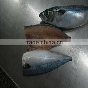Frozen Cut Mackerel thumbnail-1