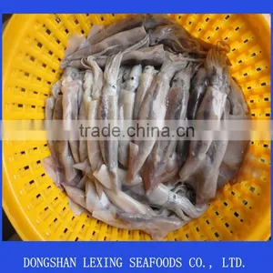 Frozen Argentina Illex Squid for Tuna Bait thumbnail-1