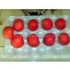 Apple,apple Supplier,Chinese Fuji Apple Supplier,Fuji Apple thumbnail-1