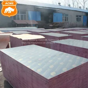 1250x2550mm Structural Plywood for Construction thumbnail-5