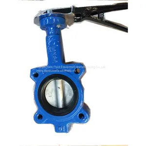 Lug Conentric SS304 Disc Butterfly Valve Lug Double Shaft Pinless Butterfly Valve With Lever thumbnail-2