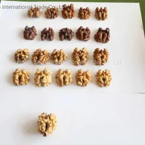 China Cheap Walnut in Shell thumbnail-1