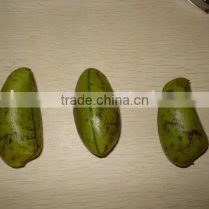 Griffonia Seed Extract thumbnail-1