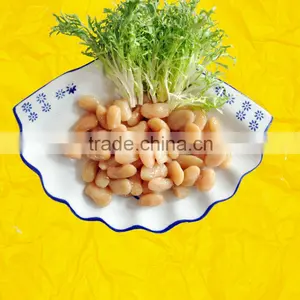 Nan Guang Export Kidney Beans Snacks( Cooked)150g thumbnail-1