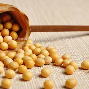 Soybean thumbnail-1