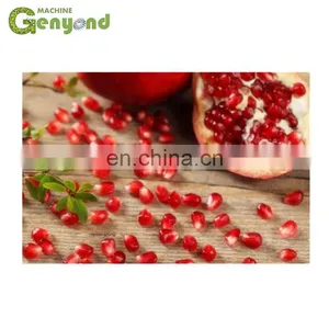 Automatic Pomegranate Peeling Machine, Hot Sale Pomegranate Press thumbnail-1