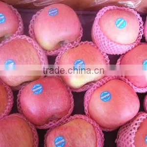 2014 Fuji Apple Exporter in China thumbnail-1