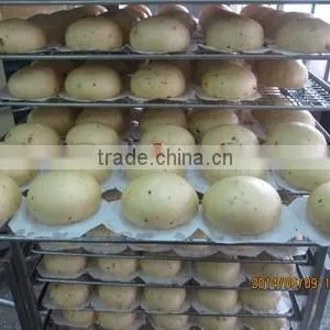 TY-812 Meat Bun Machine thumbnail-6