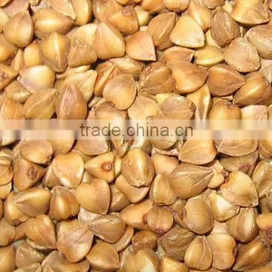 Roasted Buckwheat Kernel/groat Buckwheat From China Price thumbnail-1