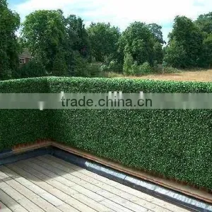 High Quality Artificial Boxwood Mat/ Hedge for Decoration Wall thumbnail-2