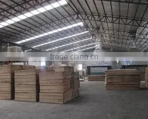 Linyi Suneast Imp & Exp Co., Ltd. company overview - view 3 thumbnail